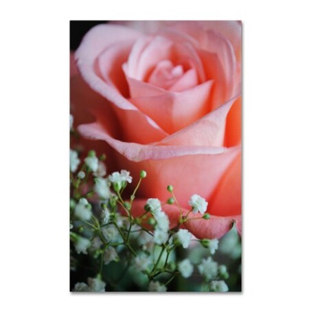 Trademark Fine Art Monica Fleet 'Snug Blossom' Canvas Art, 30x47 MF118-C3047GG